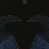 Black Birds, Indigo