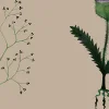 Herbarium, Kraft