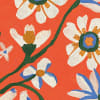 Corolle, Coquelicot
