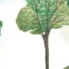Milly, Menthe