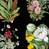 Bouquets, Black