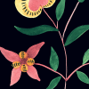 Folk Vases, black