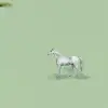 Calvacade, Green