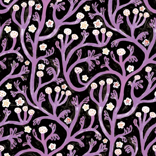 Lavender Dreams