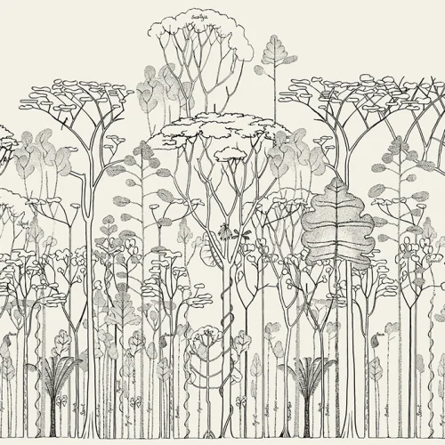 Forêt Monochrome