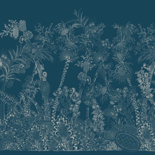 Enchanted Jungle