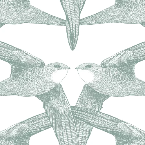Oiseaux de Grâce bien fait
