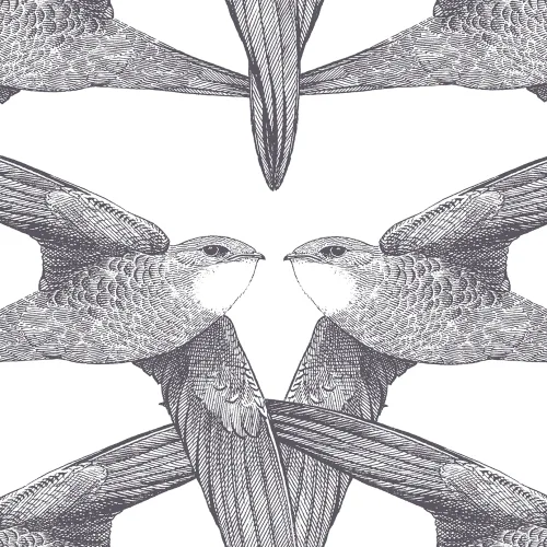 Oiseaux en vol