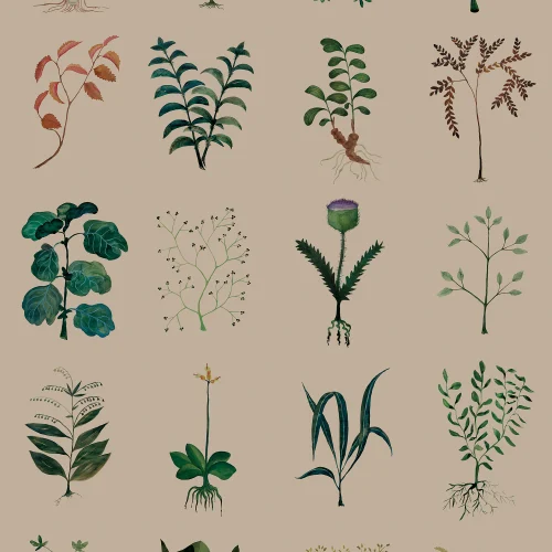 Nature's Archive