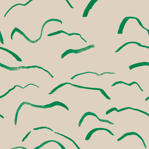 Zen Waves
