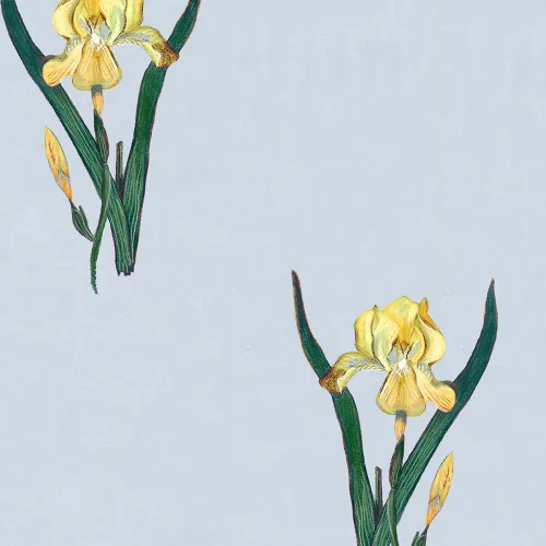 Fioriture aggraziate