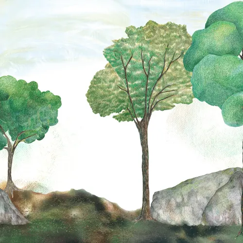 Canopée tranquille
