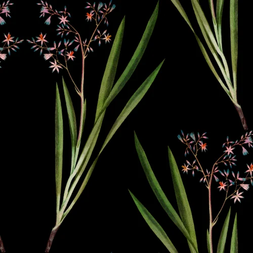 Flori nocturne