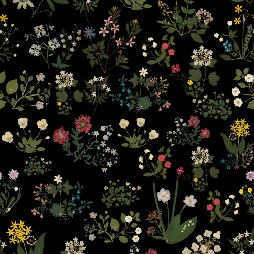 Nocturnal Blooms