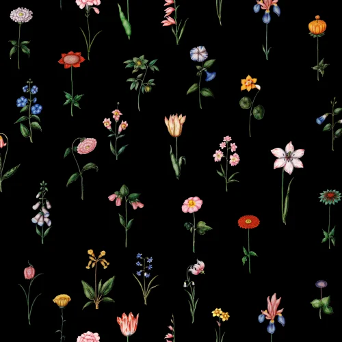 Nocturnal Garden