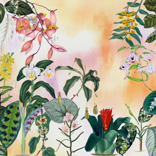 Tropical Elegance