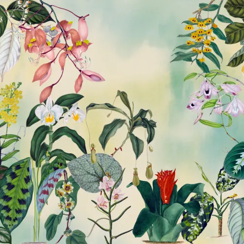 Tropical Symphony